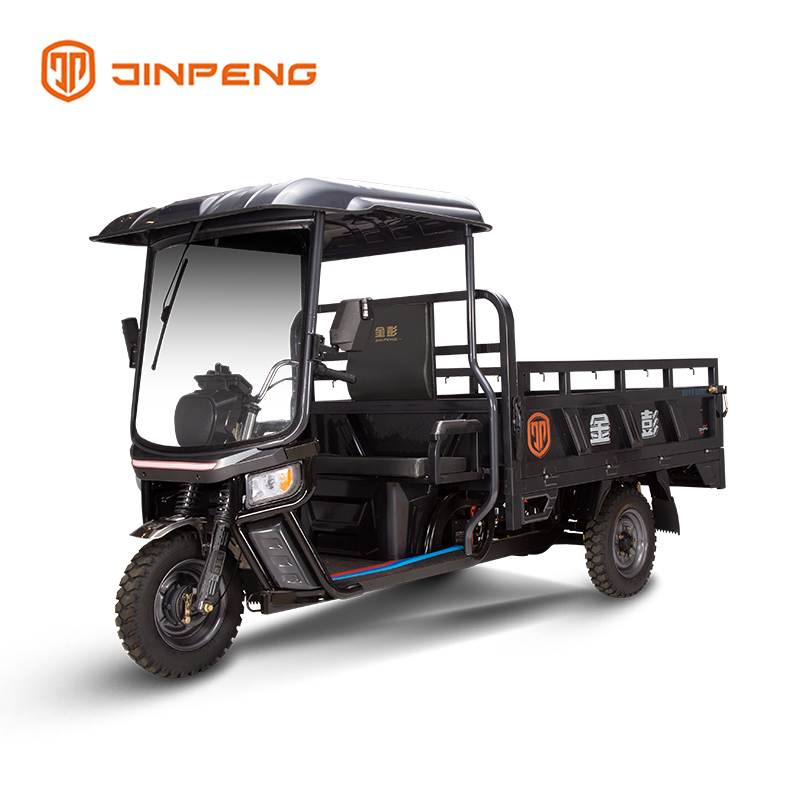 Cargo Electric Tricycle C-HA180QP