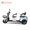 TRICYCLE LEASURE N8