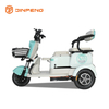 Tricycle Leisure Elektrik v3