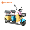 Tricycle Leisure Elektrik N10