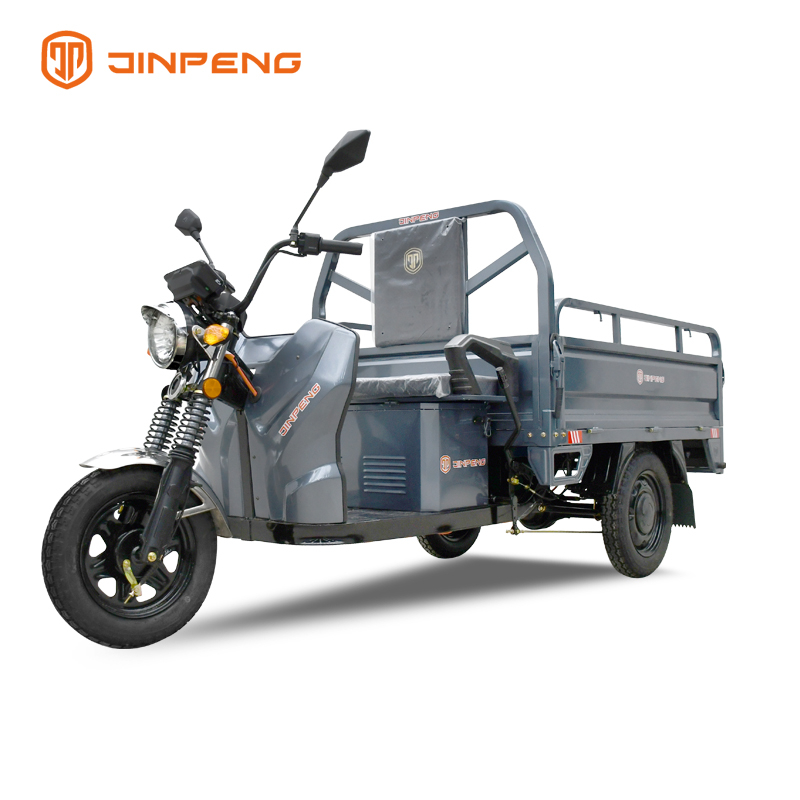 Kargo Elektrik Tricycle C-ZJ150