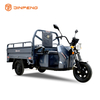 Kargo Elektrik Tricycle C-ZJ150