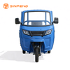 Tricycle Cargo Electric JG160P