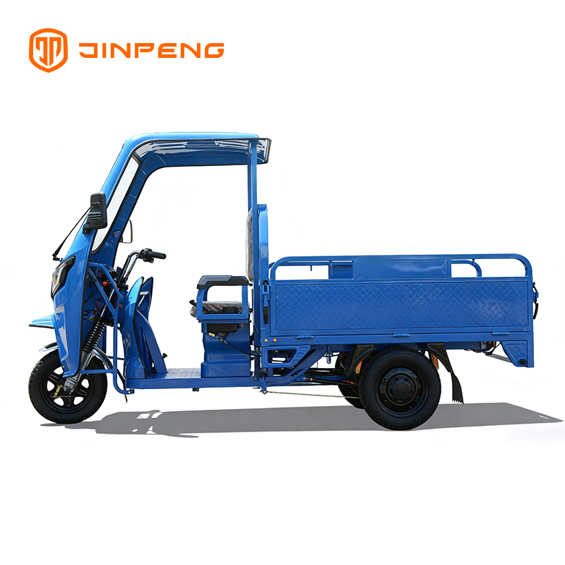 Tricycle Cargo Electric JG160P