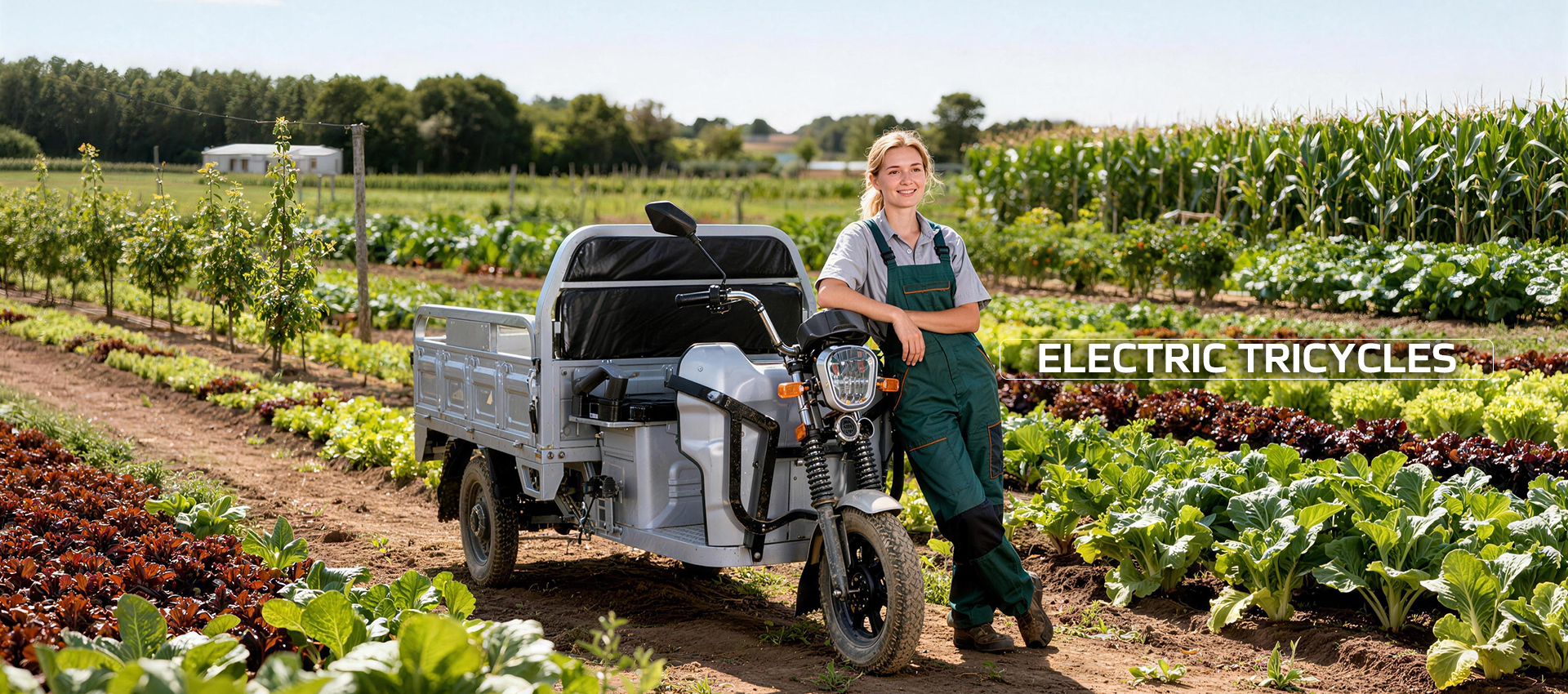 electric cycle