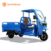 Tricycle Cargo Electric JG160P