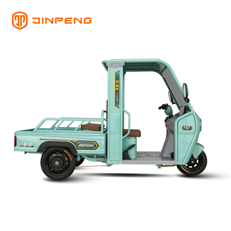 Tricycle kargo elektrik P9