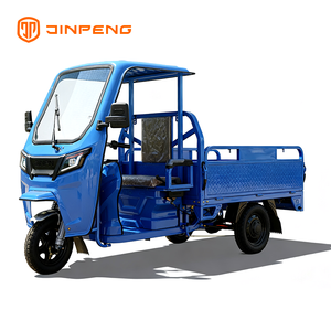 Tricycle Cargo Electric JG160P