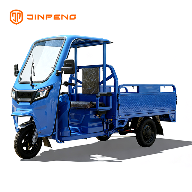 Tricycle Cargo Electric JG160P
