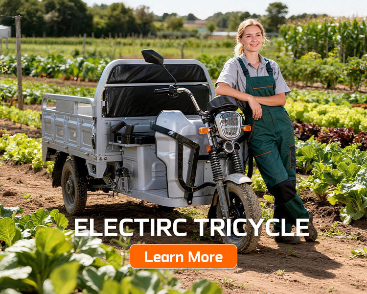 tricycle cargo