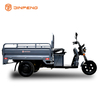 Kargo Elektrik Tricycle C-ZJ150